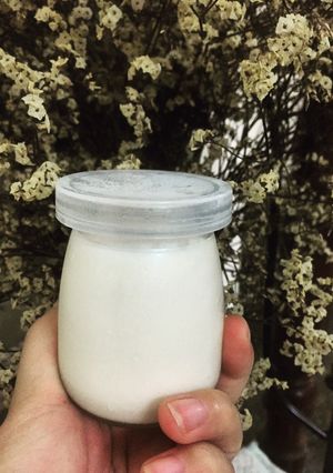 Hình của món Sữa chua homemade -Ủ yogurt bằng nồi cơm điện đơn giản.