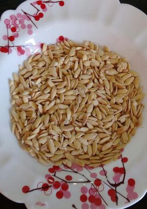 عکسی از دستور تخمه خربزه