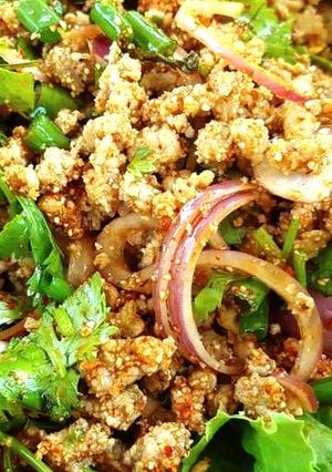รูปของ ลาบหมู
