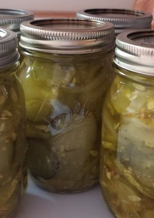 A picture of Spicy bread and butter pickles.