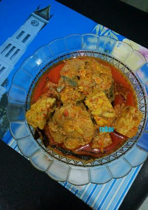 Foto resep Tongkol Sisik Tempe Masak Gulai Yusni