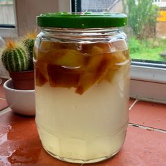 Fermented Apple Water for sourdough Breads A picture of Fermented Apple Water for sourdough Breads.
