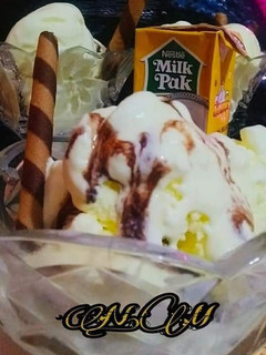 A picture of VANILLA_ICECREAM.