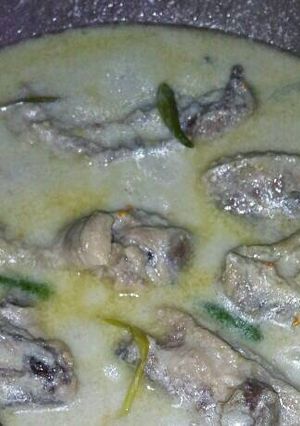 Foto resep Opor ayam mudah