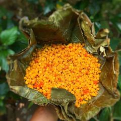 Meethi Boondi A picture of Meethi Boondi.