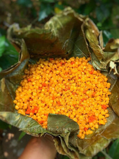 A picture of Meethi Boondi.