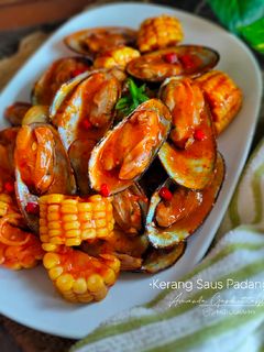 Foto resep Kerang Saus Padang