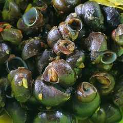 Tutut Pedas রেসিপির প্রধান ছবি