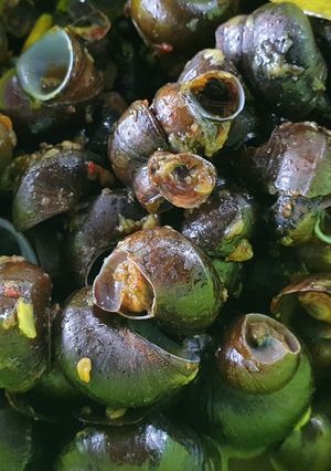 Foto resep Tutut Pedas