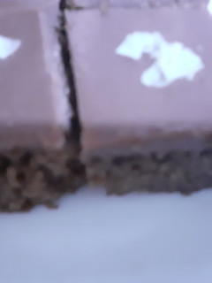 صورة لوصفة بسبوسه بالفلان