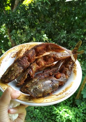 Foto resep Lele Goreng