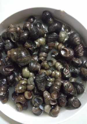 Hình của món Ốc nấu canh giềng mẻ.