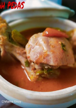 Foto resep Ayam kuah pedas
