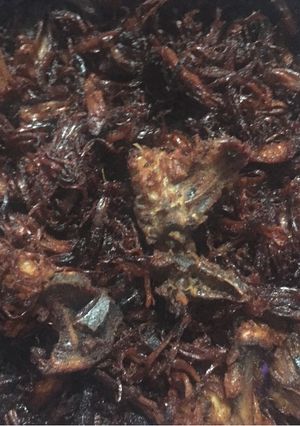 Foto resep Ayam suwir