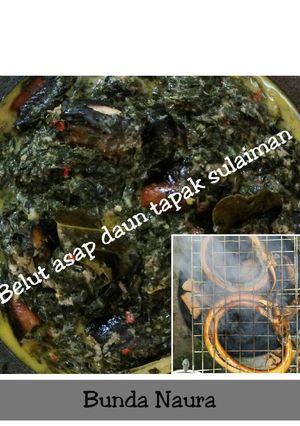 Foto resep "Belut asap daun tapak sulaiman"