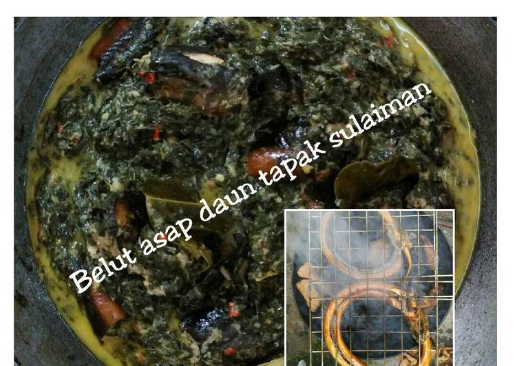 "Belut asap daun tapak sulaiman"