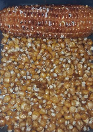 A picture of Corn on the cob on stove.