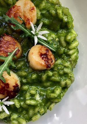 A picture of Wild rocket and scallops risotto.