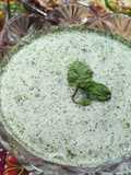 Podina raita