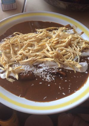 A picture of Mole Enchiladas.