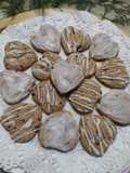 Gallletitas de Harina de Algarroba Sin Gluten