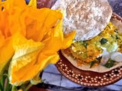 Una foto de quesadillas de flor de calabaza