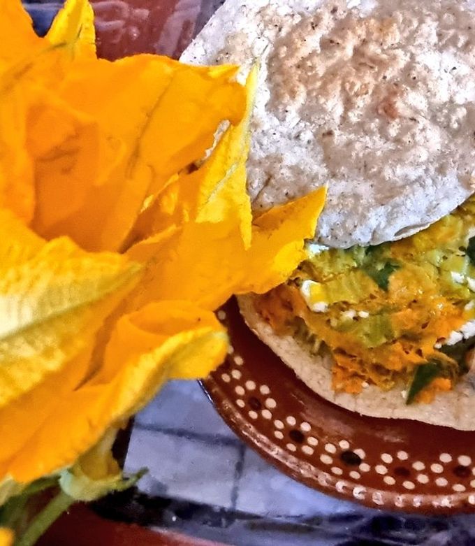 Una foto de Quesadilla de flor de calabaza