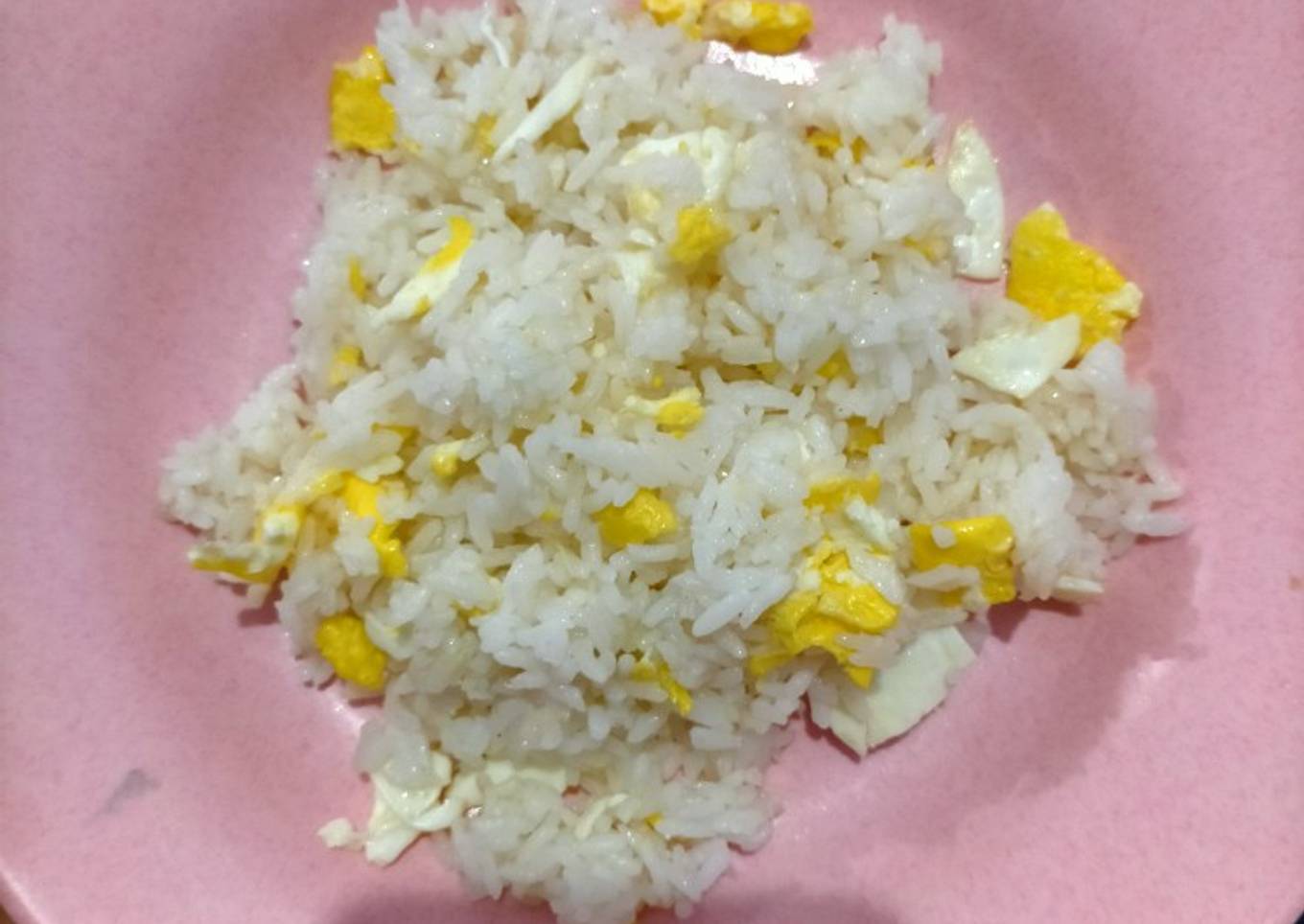 Nasi Goreng Ala-ala