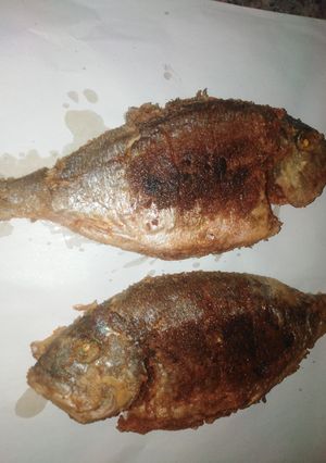صورة لوصفة سمك دنيس مقلي