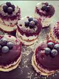 Schoko Törtchen/Torte mit Quark und Heidelbeeren