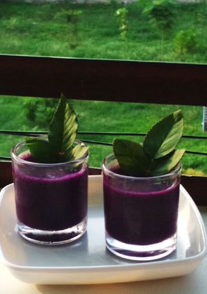 જાંબુ શોટ(jambu shots recipe in gujarati) રેસીપી મુખ્ય ફોટો
