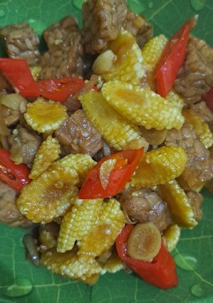 Foto resep Tumis Tempe Putren