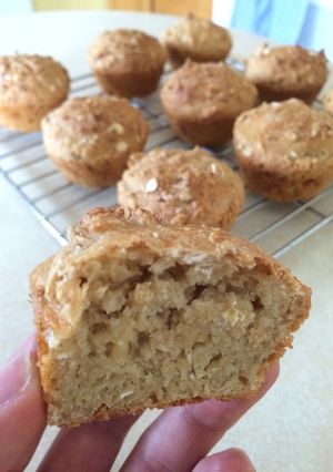 A picture of Honey Oat Bread Snacks.