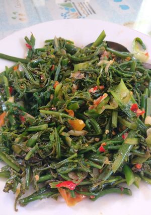 Foto resep Tumis Sayur Daun Pakis