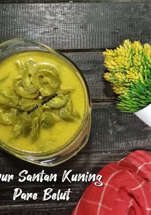Foto resep Sayur Santan Kuning Pare Belut