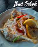 Ikan Bekok