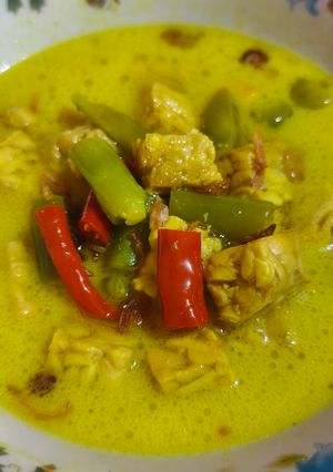 Foto resep Sayur Santan Tahu Tempe
