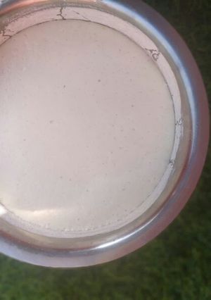 डोसा बैटर रेसिपी (Dosa batter recipe in Hindi) रेसिपी मुख्य फोटो
