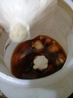 عکسی از دستور سیر ترشی(با مراحل تصویری)
