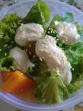 Salad Sayur Fresh