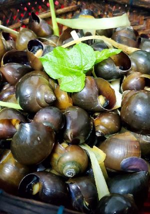 Hình của món Ốc luộc sả.