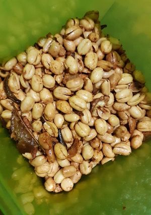 Foto resep Kacang bawang daun jeruk