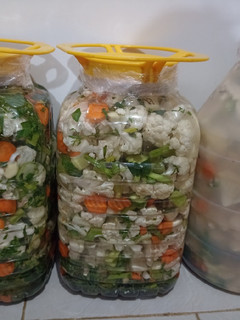عکسی از دستور شور گل کلم