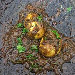 A picture of Egg Masala.