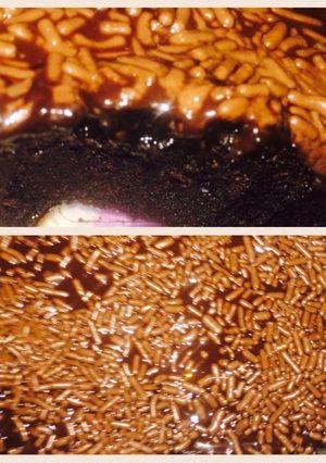 Foto resep Brownies cokelat moist