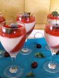 Vanilla Panacotta and Raspberry Jelly