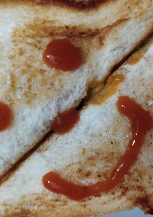 A picture of Spicy veg sandwich.
