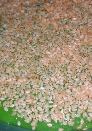 Foto resep Jenang ayas