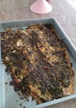 عکسی از دستور ماهی
