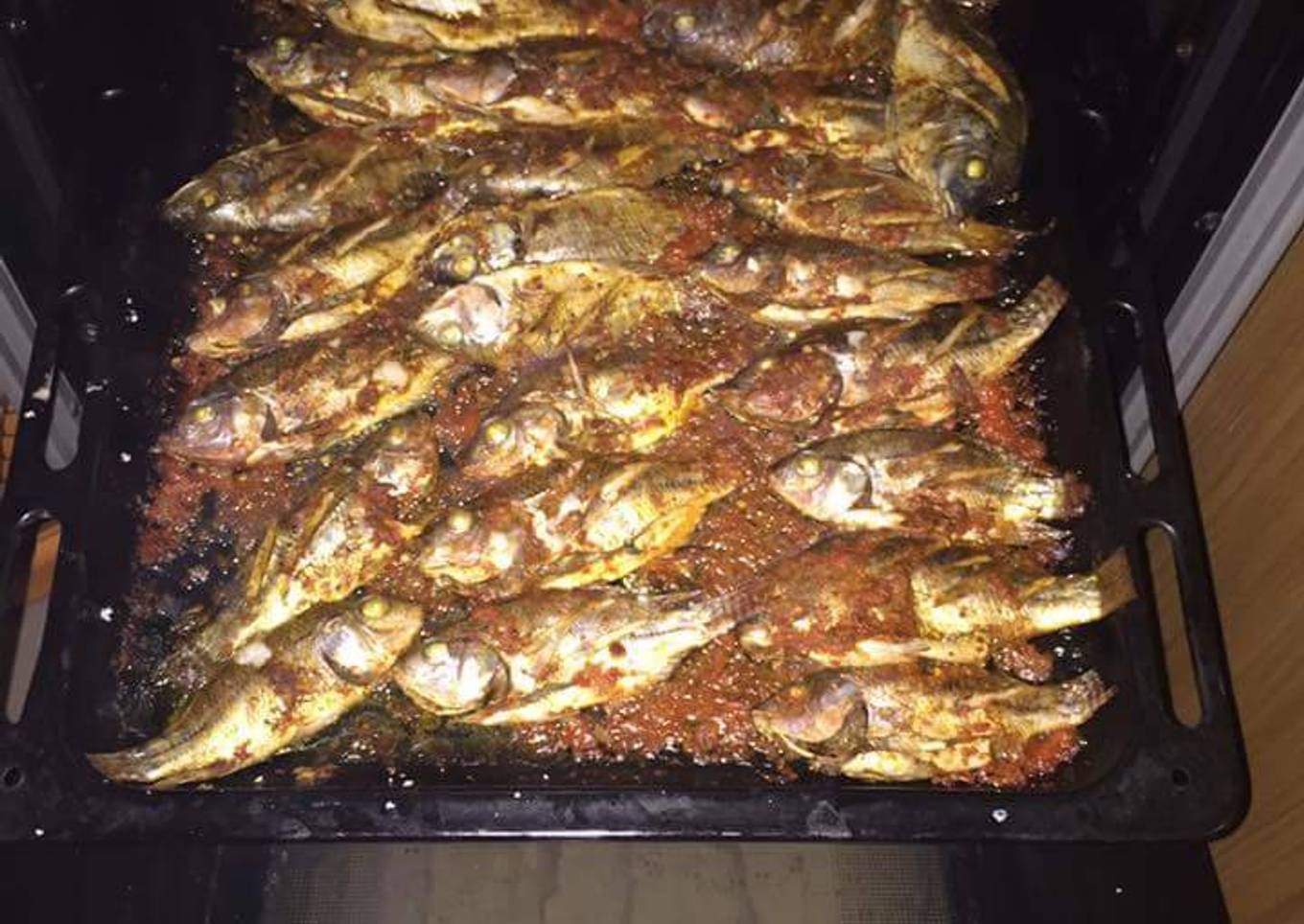 Grilled titus fish